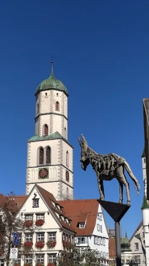 Biberach osel