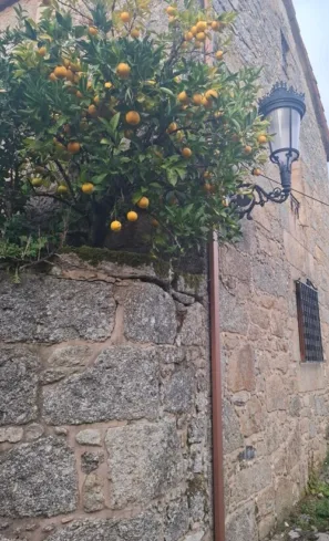 Ponte Maceira pomeranče