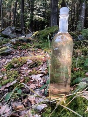 Voda ze studánky Plánice