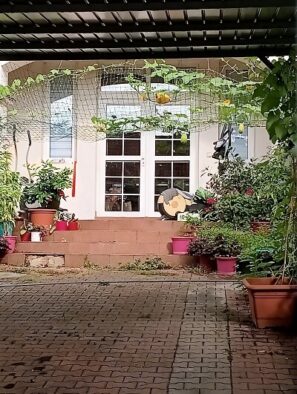 Dobrý nápad, jak mít dýně po ruce Zbraslav