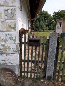 Vrčeň Pojď blíž a uvidíš