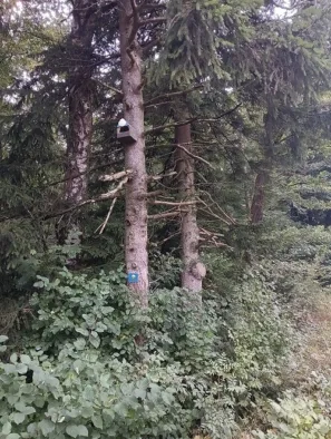 Jakobusweg Rennertschofen značky
