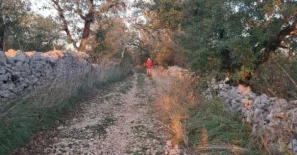 Jdi a dívej se. Nečum