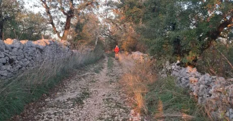 Jdi a dívej se. Nečum