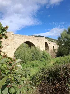 Pont de la Chartrouse Brives-Charensac