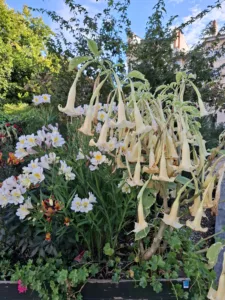 Le Puy en velay náměstí