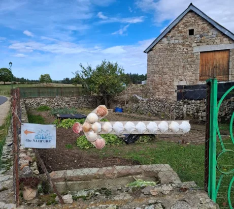 Aubrac šipka svatojakubská cesta