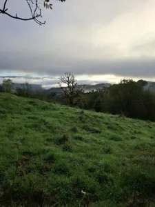 Nad Saint-Côme-d’Olt