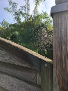 Nad Saint-Côme-d’Olt pavučinka