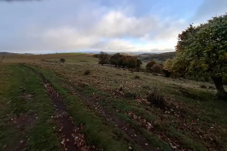Aubrac na pláních