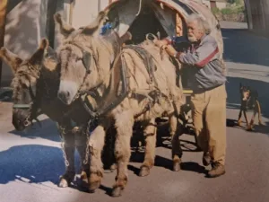 Noailhac-Camino s oslíky