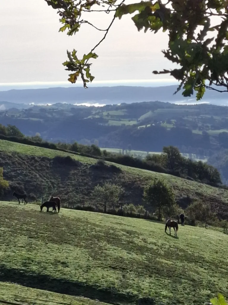 Decaziville krajina kolem