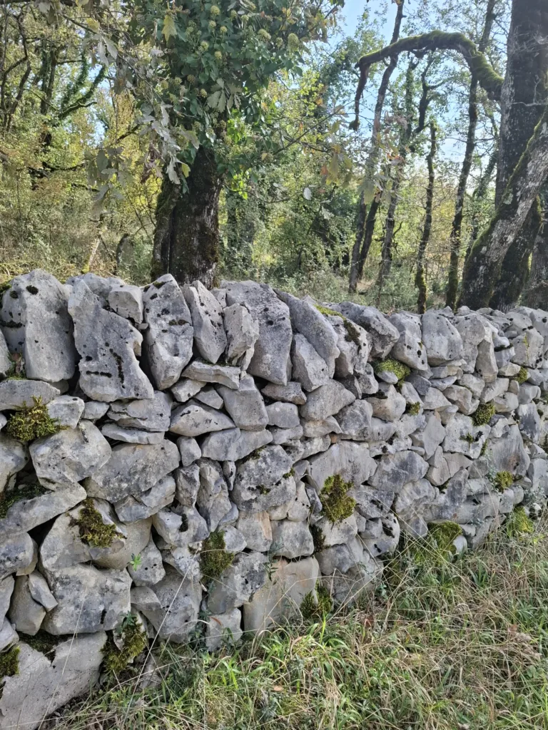 Suchá vápencová zídka