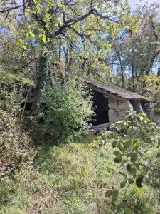 Grelau hledej prádelnu