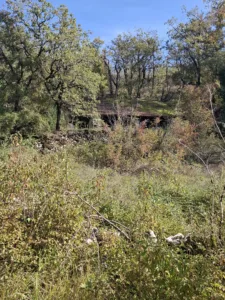 Grelau hledej prádelnu