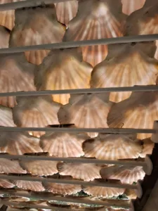 archa Limogne-en-Quercy