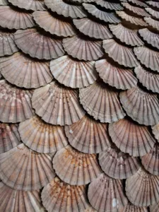 archa Limogne-en-Quercy