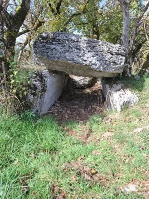 Dolmen Joncas