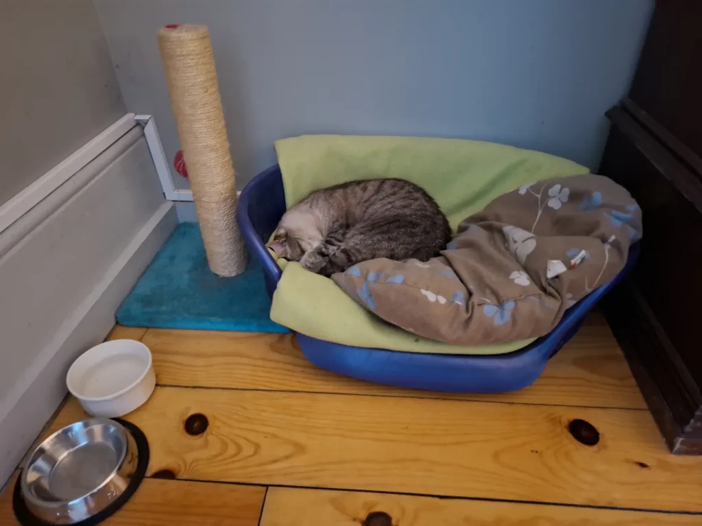 Albergue d peregrinos Porto