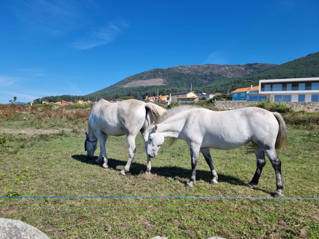 Klášter Santa María de Oia