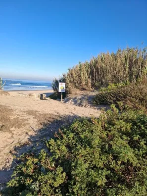 Camino portugues da costa