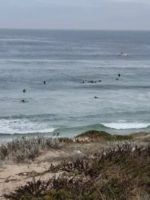 Camino portugues da costa surfaři