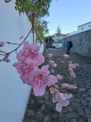 Carreço