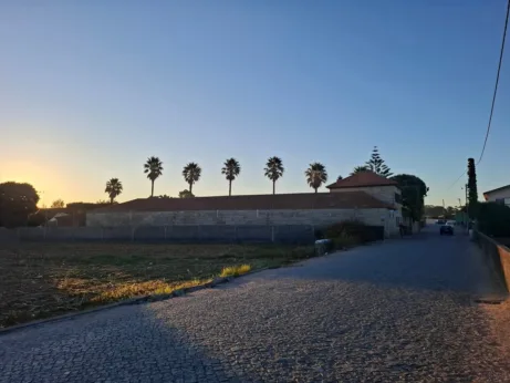 Labruge ráno
