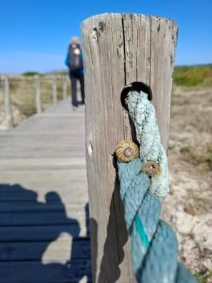 Vila Praia de Âncora chodníky