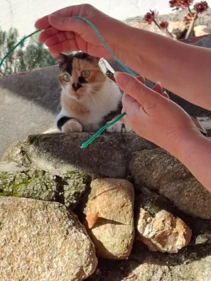 alberge Estrela Terinka provázek