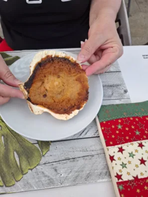 Don Vinarius Redondela hřebenatka