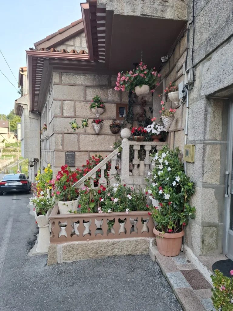 Cesta za A Ponte kytky