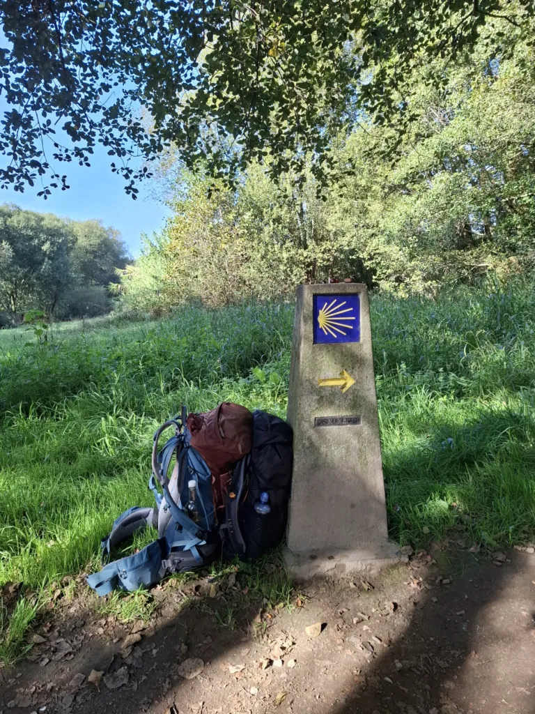 Pontevedra příchod