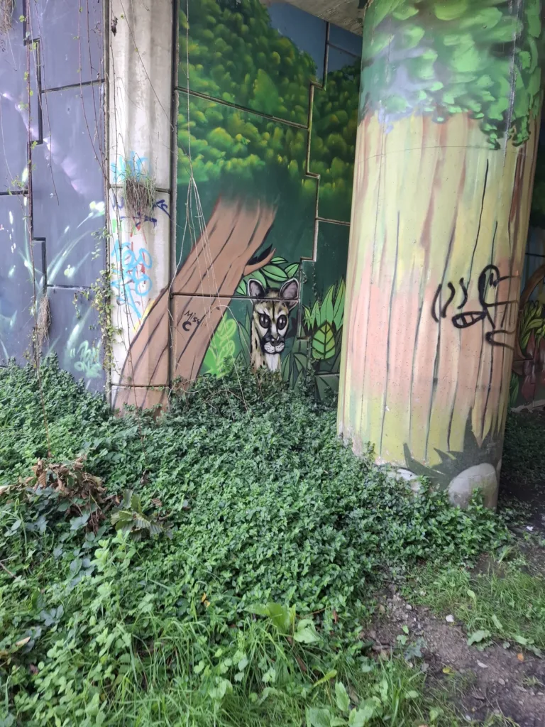 Pontevedra příchod mural