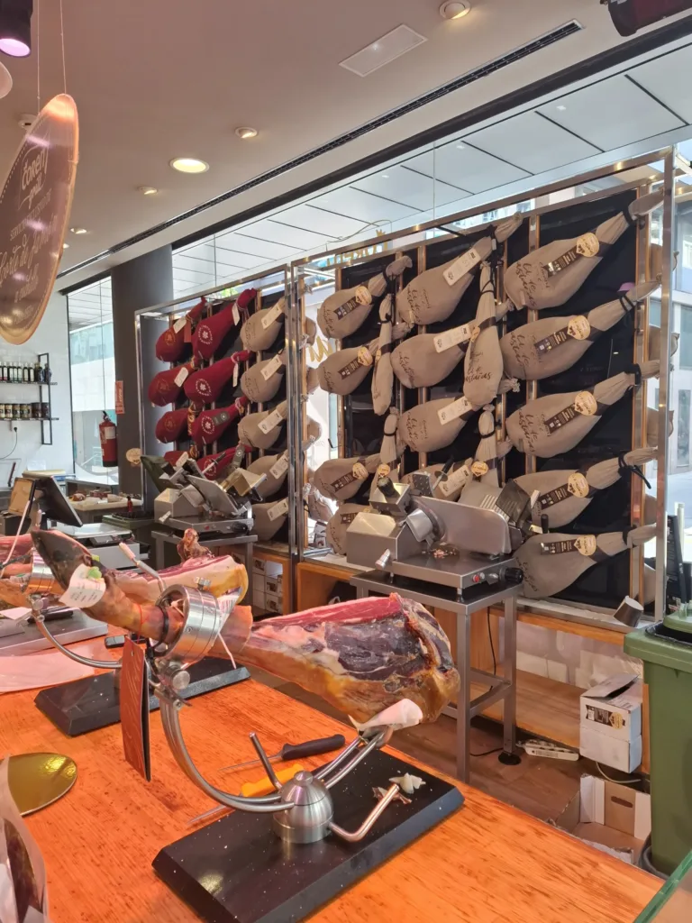 Pontevedra šunčicka iberiana