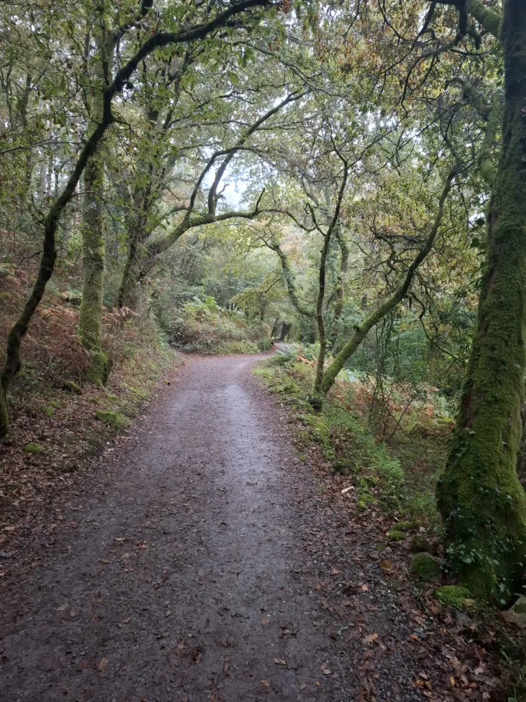 před Caldas de reis cesta