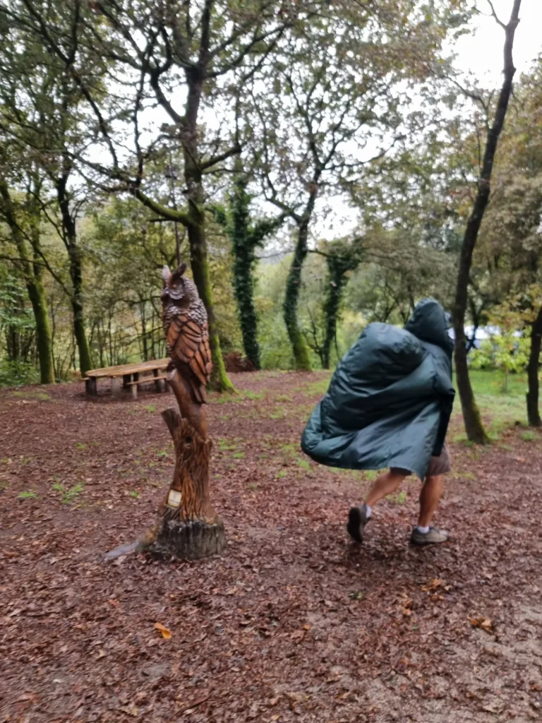 před Caldas de reis sova