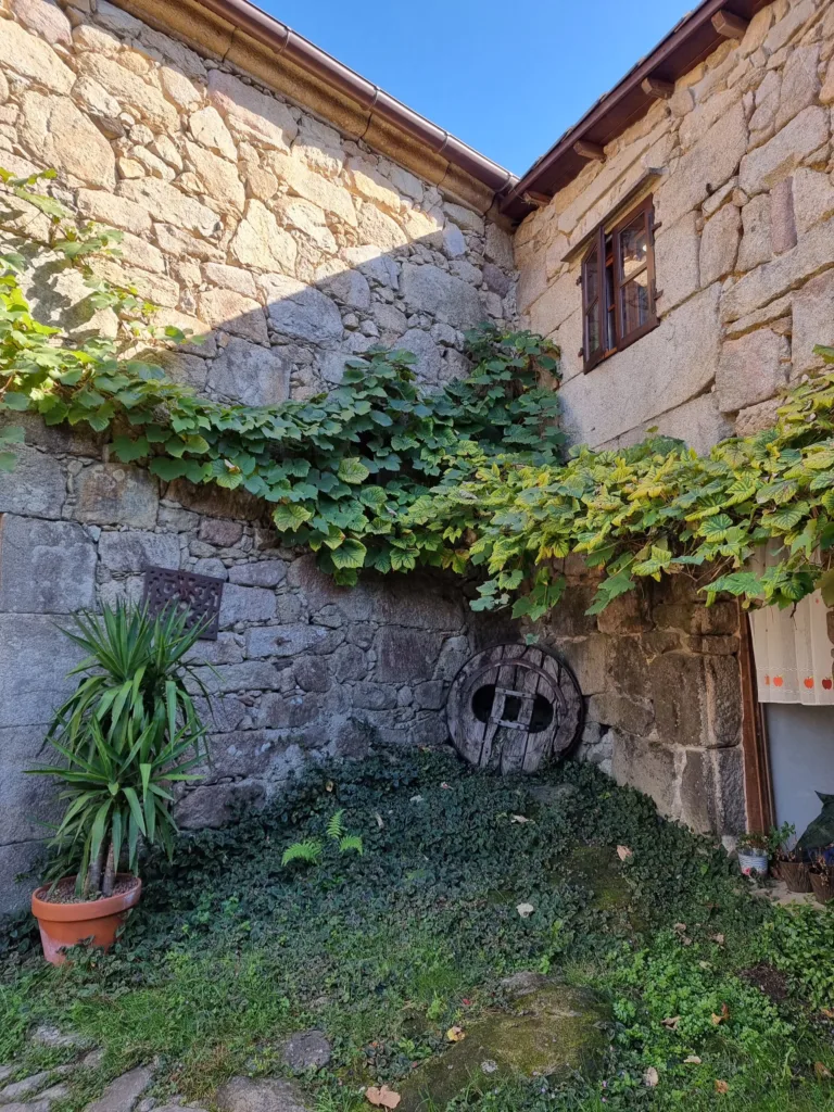 O Lagar de Jesus zákoutí na dvoře