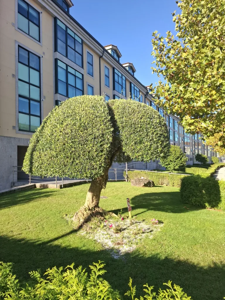 Dvě půlky Santiago de Compostela