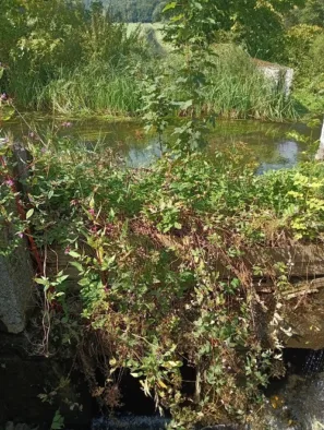 Bergen křížení zavlažovacích kanálů