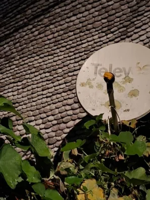 Caldas de reis fasada hřebenatky