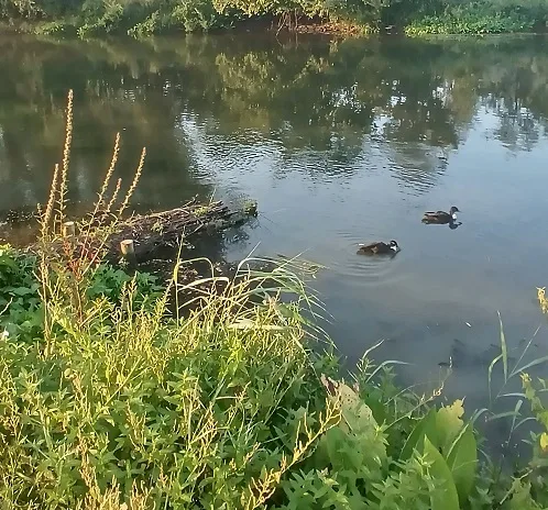 Eichstätt řeka Altmühl