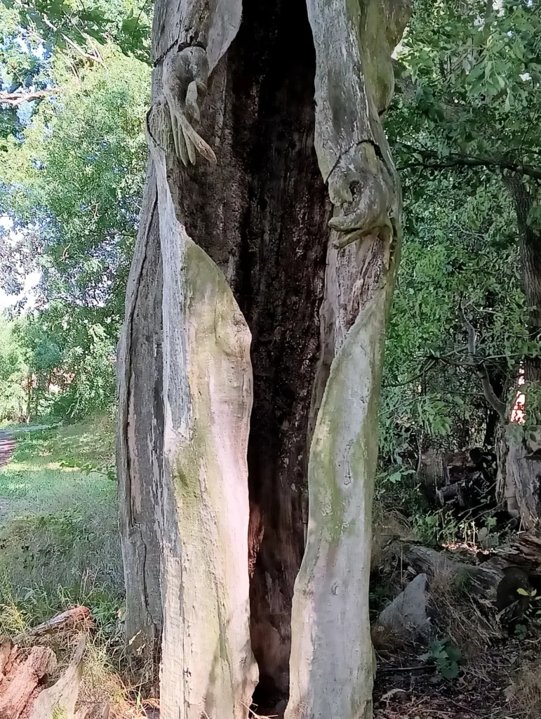 Třemšín lesní duch