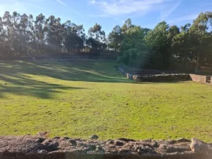 Koně jsou všude, jen ne ve výběhu