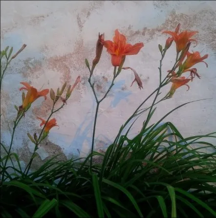 Modré stíny od mraků