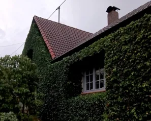 Rennertschofen dům břečťan