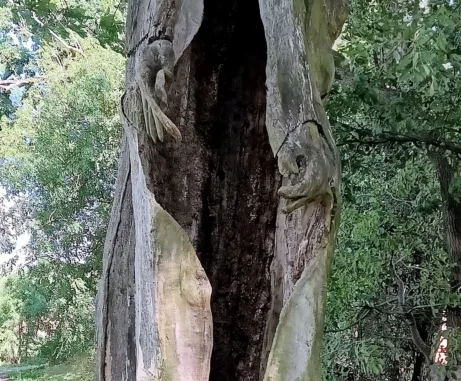 Zřícenina hradu třemšín duch