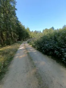 cesta nad Worth an der Donau. Netýkavky