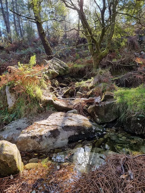 potůček Alto da Groba