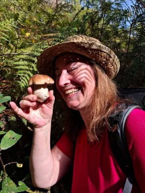 pravý galijský hříbek